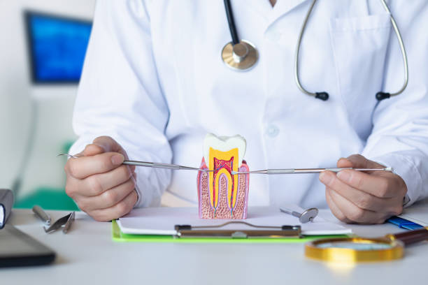 Best Emergency Dentist for Lost Fillings or Crowns in Armonk, NY